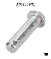 AGCO 3702550M1 Палец