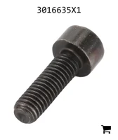 AGCO 3016635X1 Винт с цилиндрической головкой и шестигранным углублением