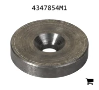 AGCO 4347854M1 Опорная шайба