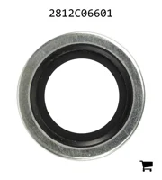 AGCO 2812C06601 Уплотнительная шайба