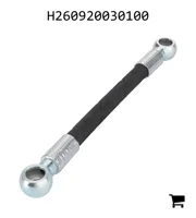 AGCO H260920030100 Шланг высокого давления