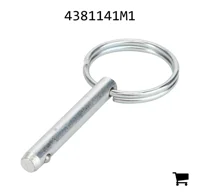 AGCO 4381141M1 Палец в сборе