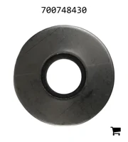 AGCO 700748430 Специальная шайба