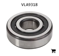 AGCO VLA9318 Цилиндрический роликовый подшипник