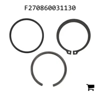 AGCO F270860031130 Комплект запчастей