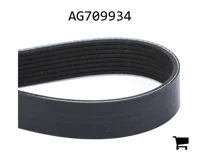 AGCO AG709934 Ремень