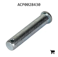 AGCO ACP0028430 Палец вилки