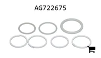 AGCO AG722675 Уплотнение
