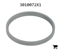 AGCO 3010072X1 Уплотнительное кольцо Huth