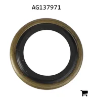 AGCO AG137971 Комплект сальников