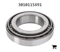 AGCO 3010115X91 Конический подшипник