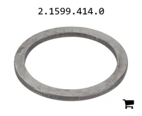 AGCO 2.1599.414.0 Шайба