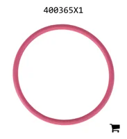AGCO 400365X1 Уплотнительное кольцо
