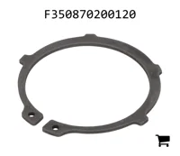 AGCO F350870200120 Стопорная Шайба Гидроцилиндра Верхнего Рычага