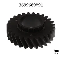 AGCO 3699609M91 Цилиндрическая шестерня