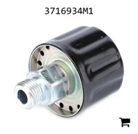 AGCO 3716934M1 Сапун