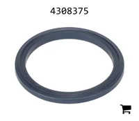 AGCO 4308375 Шайба