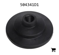 AGCO 504341D1 Заглушка