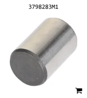 AGCO 3798283M1 Палец