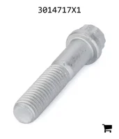 AGCO 3014717X1 Винт с 12-гранной фланцевой головкой