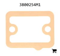 AGCO 3800254M1 Прокладка