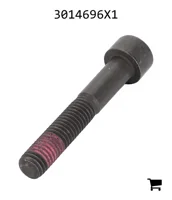 AGCO 3014696X1 Винт с цилиндрической головкой и шестигранным углублением