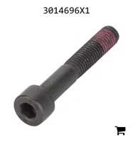 AGCO 3014696X1 Винт с цилиндрической головкой и шестигранным углублением