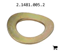 AGCO 2.1481.005.2 Шайба