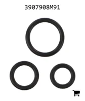 AGCO 3907908M91 Комплект соединений и прокладок