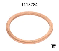 AGCO 1118784 Шайба