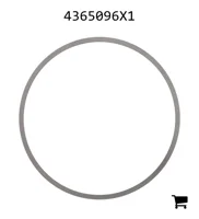 AGCO 4365096X1 Регулировочная шайба