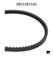 AGCO 30V3287181 Комплект ремней