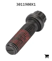 AGCO 3011900X1 Винт с 12-гранной головкой с фланцем