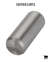 AGCO 3098810M1 Палец