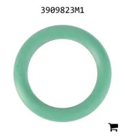 AGCO 3909823M1 Уплотнительное кольцо