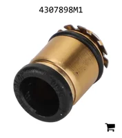 AGCO 4307898M1 Ось