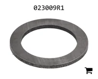 AGCO 023009R1 Шайба