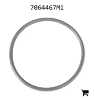 AGCO 7064467M1 Уплотнительное кольцо