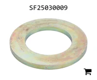 AGCO SF25030009 Шайба