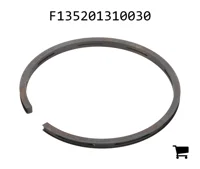 AGCO F135201310030 Маслосъемное кольцо с двойным скосом