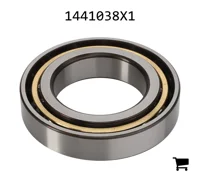 AGCO 1441038X1 Шариковый подшипник