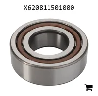 AGCO X620811501000 Цилиндрический роликовый подшипник