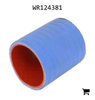 AGCO WR124381 Шланг