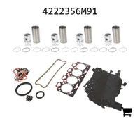 AGCO 4222356M91 Комплект для капитального ремонта двигателя