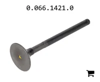 AGCO 0.066.1421.0 Клапан