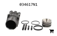 AGCO 034617N1 Комплект цилиндра
