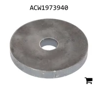 AGCO ACW1973940 Специальная шайба