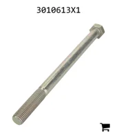 AGCO 3010613X1 Болт с шестигранной головкой