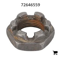 AGCO 72646559 Гайка