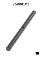 AGCO 260081M2 Шток